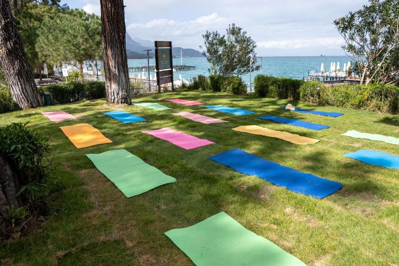 Akra Kemer Bagian luar foto